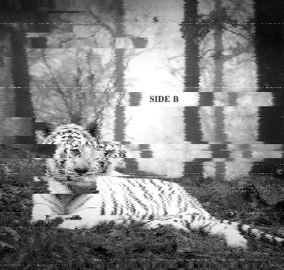 2Hollis White Tiger Vinyl Record LP Side B