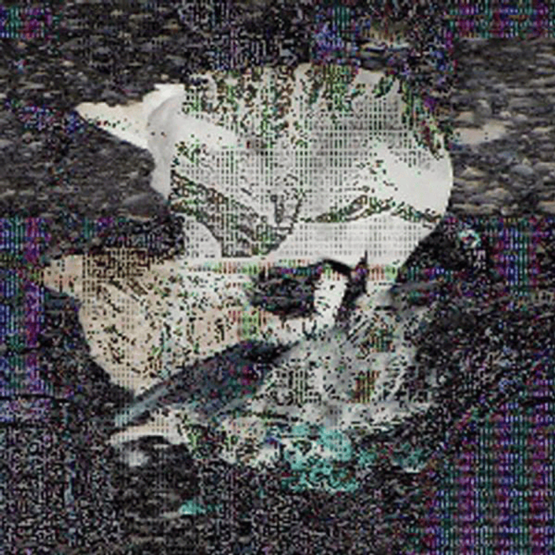Death Grips EP Death Grips CD