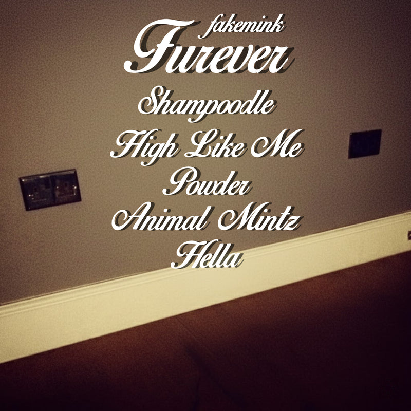 Furever EP Fakemink CD Back