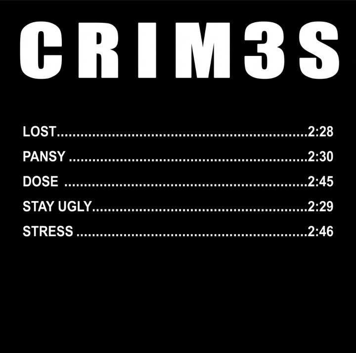 Stay Ugly EP CRIM3S CD Back