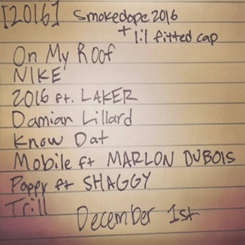 Smokedope2016 2016 Vinyl Record LP Back