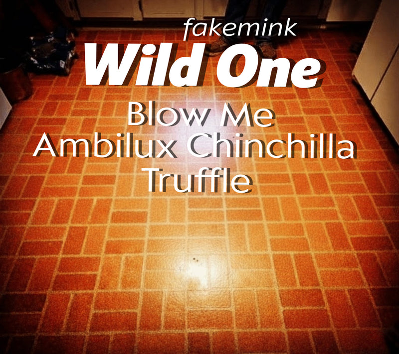 Wild One Fakemink CD Back