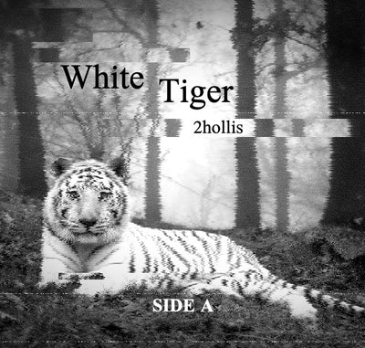 2Hollis White Tiger Vinyl Record LP Side A