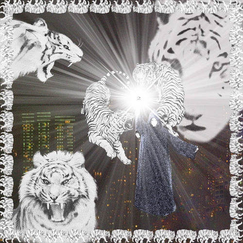 2Hollis White Tiger CD