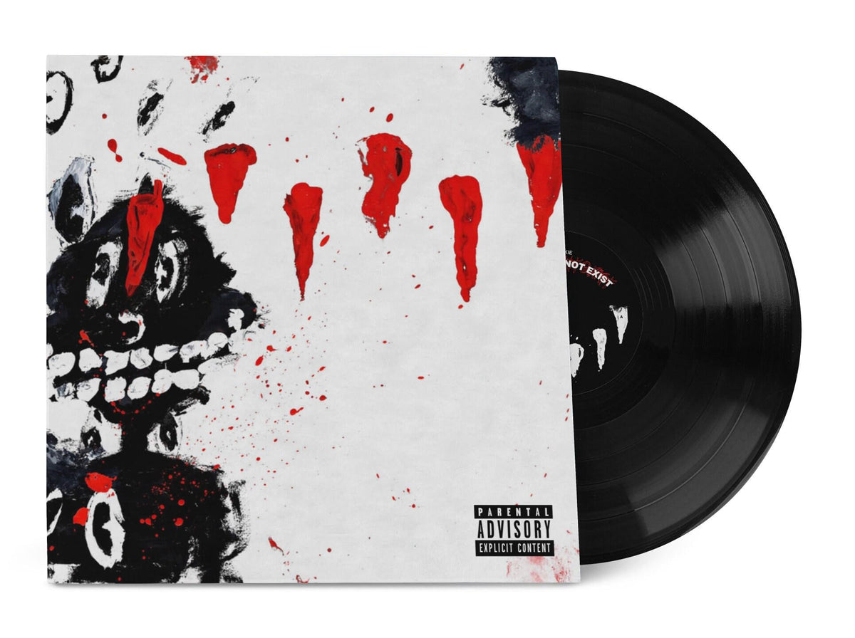 This Does Not Exist Lil Darkie Vinyl Record LP
