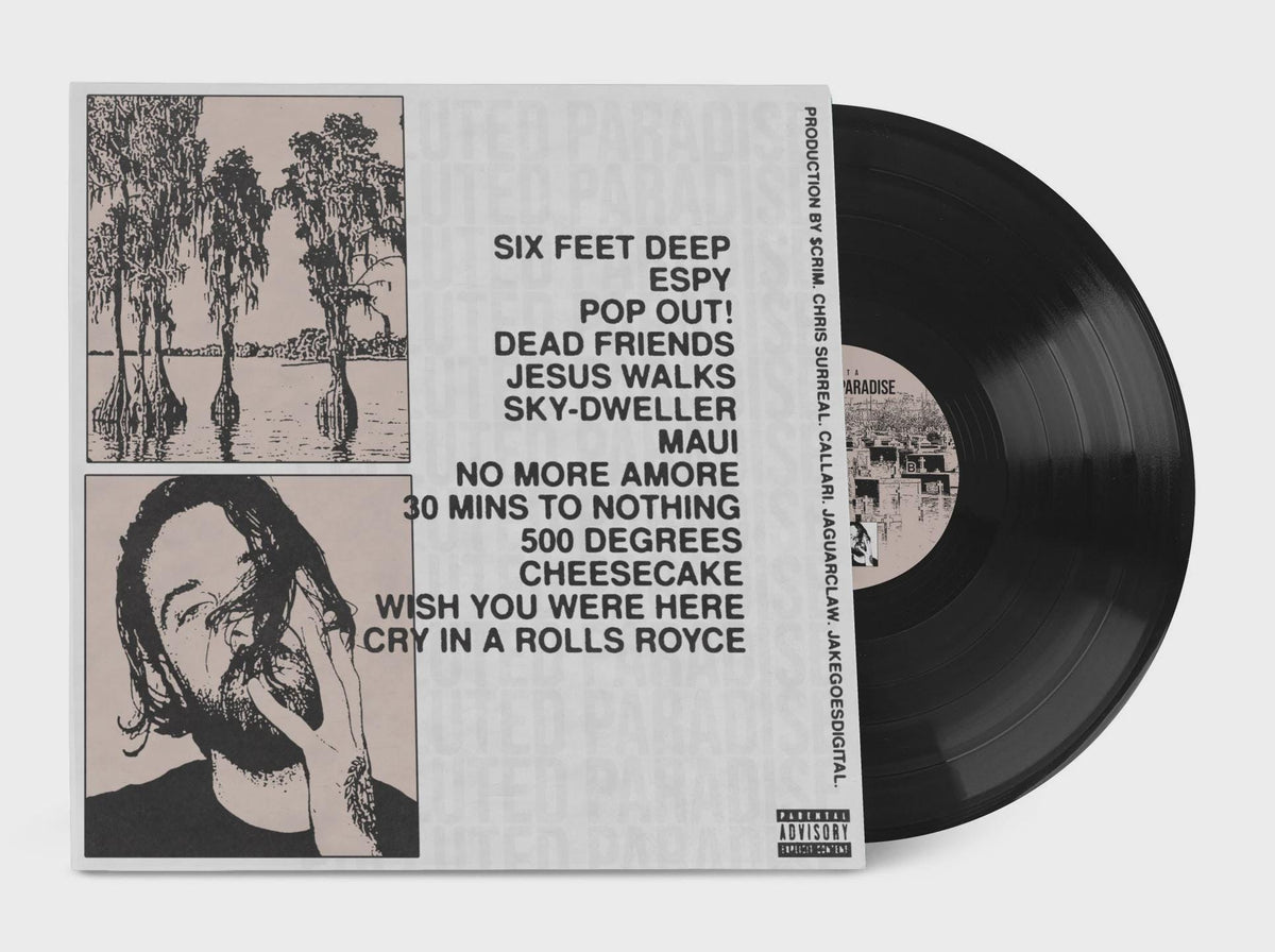 Chetta Polluted Paradise Vinyl Record LP