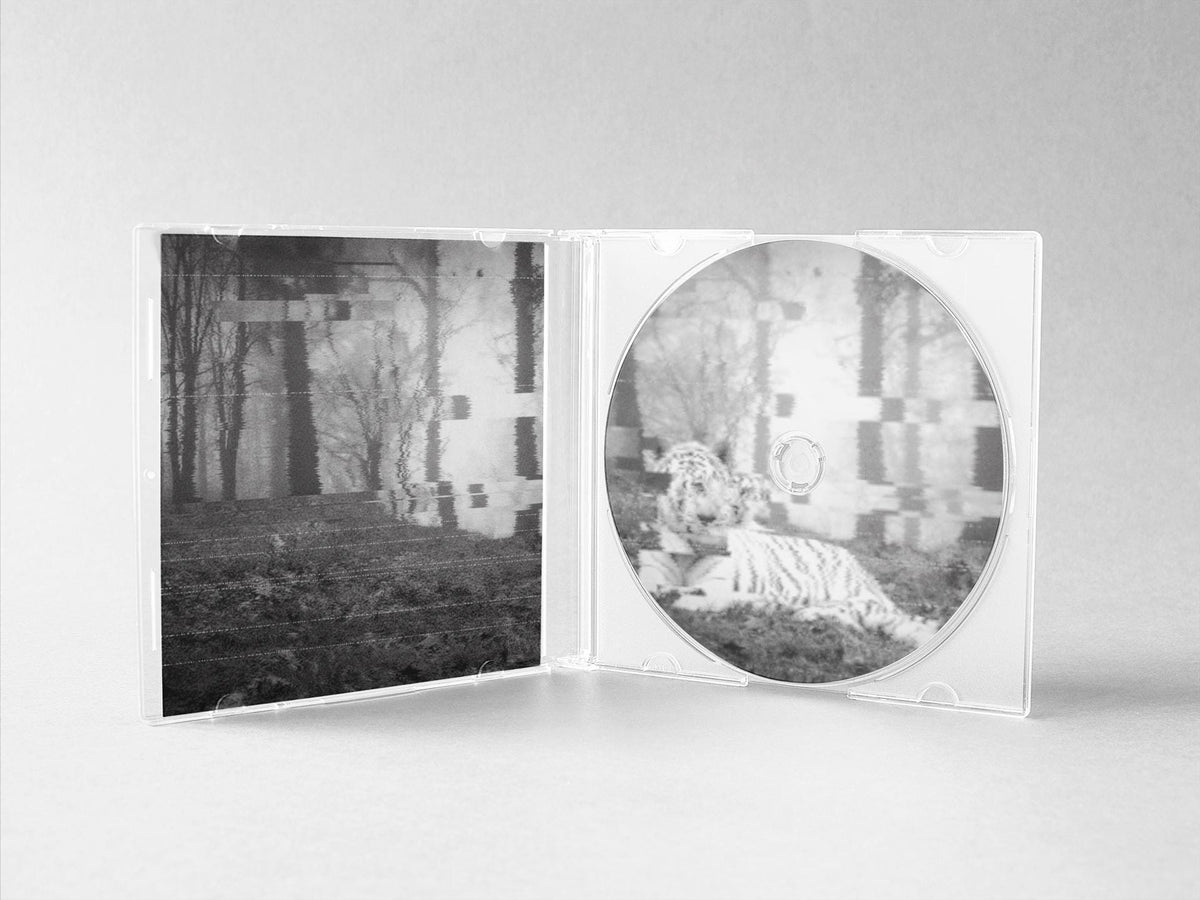 2Hollis White Tiger CD